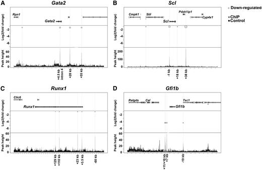 Figure 4. Bubble plot representation of Ldb1-binding peaks around 4 selected hematopoiesis-specific genes downregulated in the Ldb1−/− BL-CFCs. Each of the figures (A-D) are divided into three panels. The upper panel shows the studied gene and the neighboring genomic genes. The middle panel shows the differential expression (presented as log2fold change on the y-axis) of the studied gene in Ldb1−/− Flk1+ cells in correlation with the Ldb1-binding peaks identified within or around the gene body. The light gray circles (allocated to binding peaks) represent downregulation of gene expression. On the bottom panel, ChIP binding peak heights are represented on the y-axis and genome location on the x-axis. The dark gray color represents Ldb1 ChIP peaks and the black color represents IgG ChIP peaks (used as control).