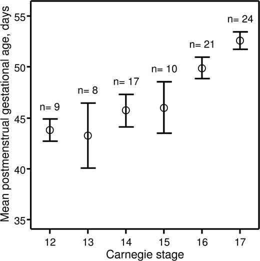 Figure 1. Relationship between postmenstrual gestational age and CSs. Human embryos obtained for the present study were split into groups depending on CSs to which they belonged. For each group, a mean postmenstrual gestational age in days (○) and a 95% confidence interval (error bars) were calculated and plotted against corresponding CSs. The number of human embryos obtained for each CS is indicated above the error bars.