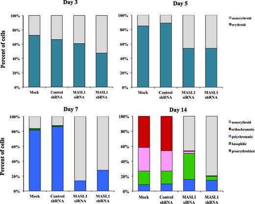 Figure 3. Nonerythroid cells accumulate in MASL1-knockdown CD34+ cells following EPO-induced erythroid differentiation. A hematopathologist, blinded to experimental details, reviewed all coded slides and quantitated myeloid and erythroid cells at day 3, 5, 7, and 14 of EPO-induced erythroid differentiation in mock-, control shRNA-, MASL1 siRNA-, or MASL1 shRNA-transfected CD34+ cells. More than 200 cells were scored for each sample in triplicate individual experiments. The data represent the mean values of 3 independent experiments.