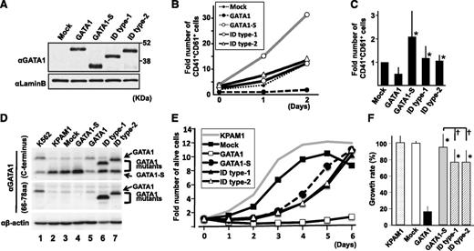 Figure 2. GATA1 ID proteins showed restricted antiproliferative activity. (A) Expression of GATA1 and GATA1 mutant proteins in cultured megakaryocytes at day 0, using an antibody against the C terminus of GATA1. The amount of protein loaded was quantified using an anti-Lamin B antibody on the same membrane. (B) Time-course change in the number of CD41+CD61+ cells. The value in the mock case at day 0 is set to 1. The result is representative of 4 independent experiments. (C) Comparison of the number of CD41+CD61+ cells at day 2. The value in the mock case is set to 1 in every experiment. The mean values and standard deviations from 4 independent experiments are presented. Asterisks indicate a significant difference compared with wild-type GATA1 (P < .05). (D) Immunoblot analysis of ectopic expression of GATA1 proteins in KPAM1 cells using anti-GATA1 antibodies against C terminus (upper) and residues between amino acids 66 and 78 (middle). The loading volume was quantified using anti-β-actin antibody (lower). (E) Growth curves of KPAM1 cells after ectopic expression of GATA1 proteins. Average values obtained from 6 wells are shown. The value at day zero is set to 1 for each. The growth curve of the original KPAM1 cells was analyzed as a control. Representative data from 3 independent experiments are shown. (F) Relative growth rate of KPAM1 cells at 5 days after ectopic expression of GATA1 mutant proteins. The average value of growth rate in the mock case is set to 100% in every experiment. The mean values and standard deviations from 18 wells obtained in 3 independent experiments (6 wells in each) are presented. Asterisks and daggers indicate significant differences compared with wild-type GATA1 and GATA-S, respectively (P < .01).
