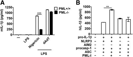 Figure 4. Activation of AIM2 inflammasome is not regulated by PML. (A) Normal AIM2-mediated IL-1β production in PML-deficient macrophages. Pml+/+ and Pml−/− BMDMs were primed with LPS for 3 hours, followed by nigericin treatment for 4 hours or dAdT for 6 hours, and the amount of IL-1β secreted was quantitated. dAdT (1.5 μg) was transfected using Lipofectamine 2000. (B) PML-I did not increase the activation of the reconstituted AIM2 inflammasome. 293T cells were transfected with the indicated components of AIM2/NLRP3 inflammasome, with or without PML-I. Empty vector was included to ensure the same amount of DNA was transfected in each set. The production of IL-1β was determined 48 hours later. Experiments were independently repeated 3 times. **P < .01; ***P < .001, for paired t test.