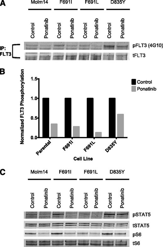 Figure 4. Plasma inhibitory assay shows ponatinib is active against FLT3-ITD and FLT3-ITD/F691 mutants at clinically achievable plasma concentrations. (A) Western blot analysis for phosphotyrosine and total FLT3 performed after immunoprecipitation using anti-FLT3 antibody on lysates prepared from Molm14 cells expressing the FLT3-ITD mutant isoforms indicated. Cells were exposed for 120 minutes to healthy control and steady-state plasma obtained from a patient treated with 45 mg of ponatinib per day. (B) Quantitation of FLT3 autophosphorylation after immunoprecipitation from Molm14 cells expressing the indicated FLT3 mutant isoforms. (C) Western blot analysis using anti–phospho-S6, anti–phospho-STAT5, anti-S6, and anti-STAT5 antibody performed on whole-cell lysates prepared from Molm14 cells expressing the FLT3-ITD mutant isoforms indicated. Cells were exposed for 120 minutes to normal control and steady-state plasma obtained from a patient treated with 45 mg ponatinib per day.