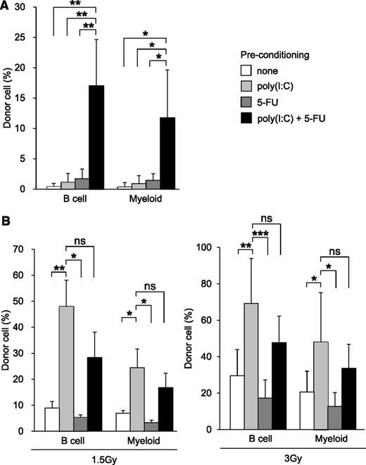 Figure 1. Type I IFN-based preconditioning permits HSC replacement in WT mice. (A) WT (CD45.1−CD45.2+) mice, either untreated (white, n = 6) or treated with poly(I:C) alone (light gray, n = 6), 5-FU alone (dark gray, n = 6), or poly(I:C) and 5-FU (black, n = 6), were given transplants of 5 × 106 whole BM cells from congenic mice (CD45.1+CD45.2+). The results from 2 independent experiments are shown. Data shown are the mean ± SD of donor-derived B cells (B220+) and myeloid (Gr1+ plus CD11b+) cells, 7 to 8 months after BMT. (B) WT (CD45.1−CD45.2+) mice were treated with LD-TBI alone (white) or with polyI:C and LD-TBI (light gray), 5-FU and LD-TBI (dark gray), or poly(I:C) with 5-FU and LD-TBI (black), then given transplants of 5 × 106 whole BM cells from congenic mice (CD45.1+CD45.2+). The TBI dose was 1.5 Gy (left, n = 3 each) or 3 Gy (right, n = 6 each). The results from 2 independent experiments are shown. Data shown are the mean ± SD of donor-derived B cells (B220+) and myeloid (Gr1+ plus CD11b+) cells 7 to 8 months after BMT. *P < .05; **P < .01; ***P < .001; . ns, not significant.