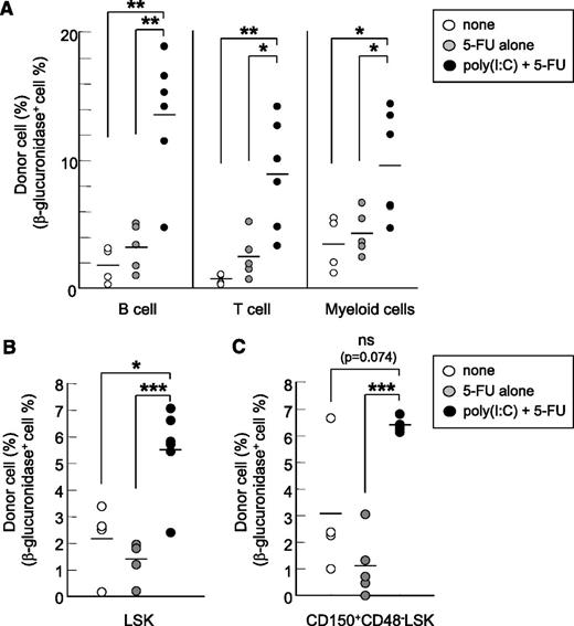 Figure 3. Type I IFN-based preconditioning permits HSC replacement in Sly mice. Eight-week-old Sly mice were untreated (n = 4) or treated with either 5-FU alone (n = 5) or poly(I:C) and 5-FU (n = 6), and were then given 1 × 107 whole BM cells from littermate WT mice. (A) The percentage of donor-derived GUSB+ B cells (B220+), T cells (CD3ε+), and myeloid cells (Gr1+ plus CD11b+) in blood; or (B, C) GUSB+LSK (B) or CD150+CD48− LSK (HSC) (C) in the BM 3 months after BMT (5 month of age). Horizontal bars show the average percentage for the group. Each symbol represents an individual mouse. Combined data from 6 independent experiments are shown. *P < .05; **P < .01; ***P < .001. ns, not significant.