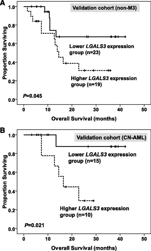 Figure 4. Kaplan-Meier survival curves for overall survival in 42 patients with non-M3 AML (A) and 25 patients with CN-AML (B) in the validation cohort. The median value of BM LGALS3 expression in the original cohort of 280 patients was used as the cutoff point to define lower- and higher-expression groups.