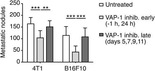 Figure 5. VAP-1 activity is essential at the early steps of metastasis but dispensable afterward. BALB/c or C57BL/6 mice were treated with VAP-1 inhibitor either 1 hour before and 24 hours after the intravenous injection of 5 × 105 4T1-GFP (left) or B16F10 (right) tumor cells, respectively, (VAP-1 inhibition early), or on days 5, 7, 9, and 11 after the introduction of the tumor cells (VAP-1 inhibition late). Lungs were isolated on day 14 and the number of metastatic lung nodules was analyzed. Data represent mean + SD; n ≥ 10 mice (one-way analysis of variance and Tukey test) and **P < .01; ***P < .001.