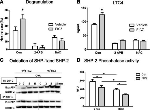 Figure 2. FICZ-induced enhancement of mediator release is calcium and ROS dependent. BMMCs were sensitized with E-C1 ± 1 nM FICZ or equal amount of vehicle as a control (Con) for 16 hours and then stimulated with 10 μg/mL OVA. The release of (A) Hex and (B) LTC4 in the absence or presence of a calcium blocker (2-APB) and an antioxidant (N-acetyl cysteine) was added 30 minutes before OVA stimulation. Data are representative of 3 independent experiments. (C) FICZ enhances oxidation of a PTP (SHP-2) in mast cells. BMMCs were sensitized with E-C1 ± 1 nM FICZ or an equal amount of vehicle as a control for 16 hours and then stimulated with 10 μg/mL OVA for the indicated time. The cells were lysed, and then SHP-1 and SHP-2 were immunoprecipitated (IP). The immunoprecipitates were subjected to alkylation by IAA, followed by reduction of the reversibly oxidized PTPs with dithiothreitol, and by final oxidation with pervanadate. After size fractionation by SDS-PAGE, the samples were subjected to immunoblotting (IB) with oxPTP mAbs and after stripping, with the respective Abs as loading controls. Data are representative of 3 independent experiments. (D) BMMCs were treated as above. OVA-stimulated cells were lysed and SHP-2 was immunoprecipitated, and the relative activity of PTPs was determined by measuring the levels of FDP fluorescence (RFU). *P < .05. Data are representative of 3 independent experiments.