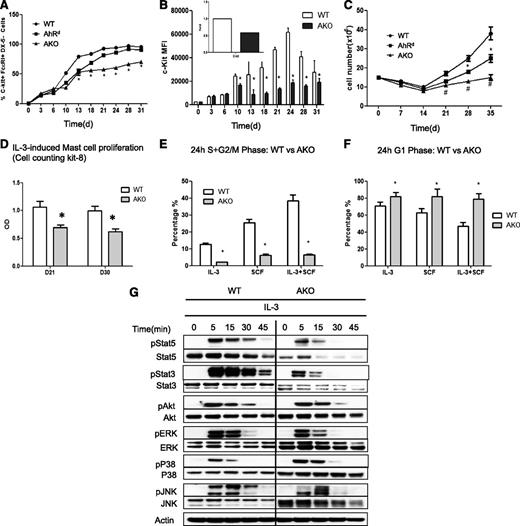 Figure 3. Growth defect in AKO and AhRd mast cells in response to IL-3. (A) The percentages of c-Kit+FcεRI+CD49b- mast cells. Bone marrow cells were cultured in 30% WEHI-3-conditioned medium, and at indicated time points, aliquots of cultured cells from WT, AhRd, and AKO mice were stained for c-Kit, FcεRI, and CD49b and analyzed by flow cytometry. *P < .05 (WT vs AKO). Data are representative of 3 independent experiments. (B) The relative level of c-kit analyzed by flow cytometry and measured as mean fluorescence intensity (MFI). Inset: c-kit expression detected by real-time reverse-transcription polymerase chain reaction from D31 mast cells.*P < .05. Data are representative of 3 independent experiments. (C) To determine the cell numbers, media were changed weekly and the numbers of suspension cells excluding trypan blue were recorded over 5 weeks. *P < .05 (WT vs AhRd); #P < .05 (WT vs AKO). Data are representative of 3 independent experiments. (D) Mast cells were negatively selected on day 21 (D21) and day 30 (D30) after the initiation of the culture and stimulated with 5 ng/mL IL-3 for 3 days and the cell proliferation was evaluated with Cell counting kit-8. *P < .05. Data are representative of 3 independent experiments. BMMCs were first synchronized at G0/G1 in media devoid of cytokines for 16 hours and then stimulated with IL-3 (5 ng/mL) and/or SCF (20 ng/mL). The percentages of the cell population at (E) the S+G2/M and (F) G1 phases were determined at the 24-hour time point. *P < .05. Data are representative of 3 independent experiments. (G) Analysis of IL-3–induced signaling. Mature BMMCs from WT or AKO mice were first cultured in the cytokine-free media for 6 hours and then stimulated with 5 ng/mL IL-3 for different time points, followed by western blotting analysis of activation of STATs, AKT, and MAPKs in cell lysates by the use of the respective anti-phospho or total protein antibodies. Data are representative of 3 independent experiments.