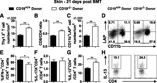 Figure 5. Increased CD11b+LAP+ cells and IL-13–producing CD4+ T cells and reduced IFN-γ–producing CD4+ T cells in the skin of CD19−/− donor-transplanted mice. A skin cell suspension was generated by digesting a 3 × 3-cm piece of depilated skin and was stained for surface markers and to differentiate live cells from dead cells. (A) The number of skin T cells (Thy1.2+) and (B) ratio of CD8+:CD4+ T cells were analyzed 21 days after BMT. A skin single-cell suspension was intracellularly stained with LAP (TGF-β1). (C) The number of CD11b+LAP+ cells, and (D) representative histograms from a live cell gate show the percentage of CD11b+LAP+ cells. Skin single-cell suspensions from CD19+/+ donor and CD19−/− donor-transplanted groups were cultured with PMA, ionomycin, and brefeldin A for 4 hours for detection of cytokine-producing T cells. Percentages of (E) IFN-γ–, (F) IL-17A–, and (G) IL-13–producing CD4+ T cells in total CD4+ T cells were analyzed. (H) Representative histograms from the CD4+ gate show the percentage of IL-13–producing CD4+ T cells; 4 to 5 mice per group. *P < .05; **P < .01.
