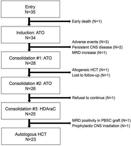 Figure 1. Patient flow diagram. HDAraC, high-dose cytarabine; MRD, minimal residual.