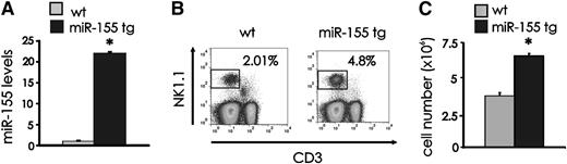 Figure 1. NK cell expansion in miR-155 tg mice. (A) NK1.1+CD3− FACS-sorted NK cells from spleen of wt and miR-155 tg mice were analyzed for miR-155 expression by real-time RT-PCR. This experiment is representative of 6 performed with similar results. Results are expressed as the mean ± SEM of triplicate wells. (B) Freshly isolated splenocytes of wt and miR-155 tg mice were stained with anti-NK1.1 and anti-CD3 Abs and analyzed by flow cytometry for percentage of NK1.1+CD3− NK cells. (C) The absolute number of NK cells was calculated in spleens of wt vs miR-155 tg mice. The graph summarizes data from 4 wt and 2 miR-155 tg littermate mice. *Statistically significant; see text for details.