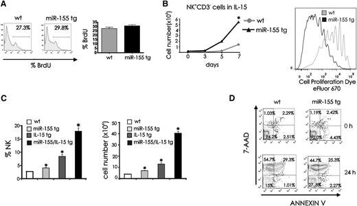 Figure 2. Proliferation and survival of miR-155 tg vs wt NK cells. (A) BrdU drinking water was administrated daily for 10 days to wt and miR-155 tg mice. BrdU incorporation in splenic NK cells was determined by surface staining of NK1.1 and CD3, followed by intracellular staining of BrdU. The histogram represents BrdU incorporation within a gated population of NK1.1+CD3− wt and miR-155 tg NK cells. Mean ±SEM of percentage of BrdU incorporation of wt and miR-155 NK cells from 10 mice is shown on graph (right panel). (B) Left: 2 × 104 FACS-sorted NK1.1+CD3− splenic NK cells were cultured in IL-15 (100 ng/mL) for 7 days. Viable cells were enumerated after culturing for 3, 5, and 7 days by trypan blue dye exclusion. Right: eFluor 670–labeled NK1.1+CD3− wt and miR-155 tg NK cells were cultured with IL-15 for 11 days. Viable cells were assessed for proliferation by measuring serial dilution of dye fluorescence. (C) Splenocytes of wt, miR-155 tg, IL-15 tg, or double miR-155/IL-15 tg mice were stained with anti-NK1.1 and anti-CD3 Abs and analyzed by flow cytometry for percentage of NK1.1+CD3− NK cells (left) and for absolute number of NK cells (right). (D) Freshly isolated splenocytes were cultured in medium without cytokines for 24 hours, followed by surface staining of NK1.1 and CD3 and labeling with 7-AAD and annexin V. Representative dot plots from 5 experiments show staining for 7-AAD and annexin V in NK1.1+CD3− NK cells. *Statistically significant; see text for details.