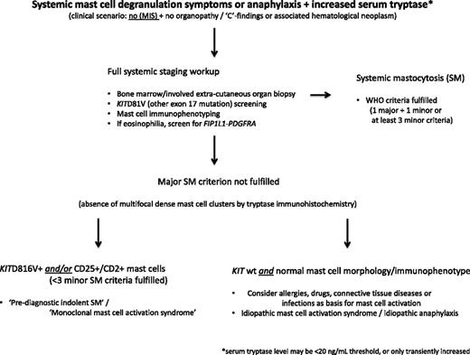 Figure 2. Diagnostic algorithm for patients with systemic mast cell degranulation symptoms or anaphylaxis and increased serum tryptase level, but without MIS.