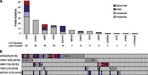 Figure 1. Mutations discovered by massive parallel sequencing of 102 MCL cases. (A) Total numbers of nonsynonymous mutations confirmed in 13 target genes analyzed. Next to the well-known and previously described mutations in ATM, TP53, and NOTCH1, UBR5 has the highest percentage of deleterious mutations including 7 splice-site affecting mutations. (B) The schematic represents the status of the 5 most recurrently mutated genes (rows) in MCL in 102 patients (columns) analyzed (red: splice site mutation; dark blue: indel; light blue: nonsense mutation; gray: missense mutation; and white: wild type. Asterisks highlight mutations validated as being somatic by Sanger sequencing.