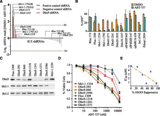Figure 2. Dhx9 is a genetic suppressor of ABT-737 sensitivity. (A) A pooled synthetic lethal shRNA screen in Myc-driven lymphomas depicting changes in representation of 813 informative shRNAs during 10 days of culture. shRNA depletion was calculated as the relative abundance in vehicle (dimethylsulfoxide)-treated cells divided by the relative abundance in ABT-737–treated cells. Values are plotted as the average of triplicate values in descending order. The dotted line represents 3 standard deviations from the population mean. Parenthesis denotes control shRNA pool location. (B) Percentage of GFP-positive Arf−/−Eμ-myc/Bcl-2 lymphoma cells cultured in the presence or absence of 600 nM ABT-737 for 8 days after transduction with MLS constructs expressing the indicated shRNAs. Error bars are standard error of the mean; n = 3. (C) Western blot form whole cell lysates of Arf−/−Eμ-myc/Bcl-2 lymphomas infected with the indicated shRNAs. (D) Viability of Arf−/−Eμ-myc/Bcl-2 cells expressing the indicated shRNAs. The fraction of PI-negative cells was determined 16 hours after exposure to increasing concentrations of ABT-737 and set relative to vehicle-treated cells. Error bars are standard error of the mean; n = 3. (E) Scatter plot comparing the Dhx9 knockdown to ABT-737 sensitivity (R2 = 0.66; P = .025; calculated using a paired Student t test).