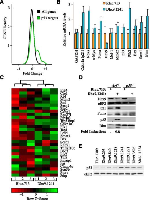Figure 3. Dhx9 suppression activates proapoptotic p53 signaling. (A) p53 transcriptional targets are elevated on Dhx9 suppression. The distribution of fold changes between Arf−/−Eµ-myc/Bcl2 lymphomas expressing Rluc.713 or Dhx9.1241 was compared for p53 target genes24 and non-p53 target genes. n = 3; Kolmogorov-Smirnov test, P = .0005. (B) Validation of microarray results by quantifying p53 transcriptional targets by quantitative reverse transcription-polymerase chain reaction. Values are set relative to β-actin. Error bars represent ± standard error of the mean; n = 6. (C) Heat map and clustering analysis of p53 targets in Arf−/−Eμ-myc/Bcl-2 lymphomas expressing Rluc.713 or Dhx9.1241. Cells were harvested 5 days after infection, and 3 independent biological replicates were used for each shRNA. The expression relative to per gene mean and standard deviation (z-score) is rendered in a red-black-green pseudo color scheme for p53 targets.24 Hierarchical clustering indicates p53 transcriptional target efficiently segregate lymphomas expressing Rluc.713 from those expressing Dhx9.1241. (D) Immunoblot analysis of cell extracts prepared from Arf−/−Eμ-myc/Bcl-2 and p53−/−Eμ-myc/Bcl-2 lymphoma cells. Cells were infected with MLS constructs expressing the indicated shRNAs (top) and probed with antibodies to the protein targets indicated to the left. Quantitation of the average fold p53 induction in response to Dhx9 suppression from 3 independent experiments. (E) Immunoblot analysis of cell extracts prepared from Arf−/−Eμ-myc/Bcl-2 lymphoma cells infected with MLS constructs expressing the indicated shRNAs.