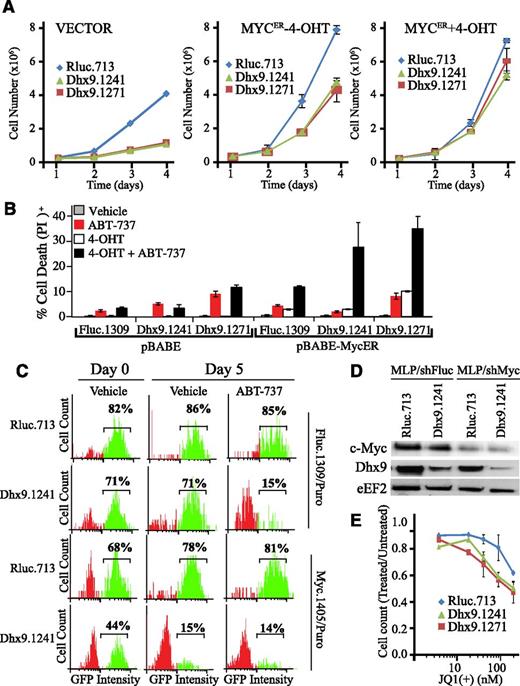Figure 5. Loss of Dhx9 acts in concert with Myc to enhance ABT-737 sensitivity. (A) Growth curves of NIH3T3, NIH3T3/Myc-ER(−4-OHT), and NIH3T3/Myc-ER(+4-OHT) fibroblasts expressing the indicated shRNAs. (B) Cell death was measured in NIH3T3 cells expressing pBABE or pBABE-MycER, as well as the indicated shRNAs. Infected cells were sorted by flow cytometry, exposed to 250 nM 4-OHT for 24 hours and then to vehicle or ABT-737 for an additional 12 hours. Cells were harvested, stained with PI, and analyzed by flow cytometry. Error bars represent standard error of the mean; n = 3. (C) Competition assay of control (shRluc) or Dhx9 shRNAs in the context of either normal Myc levels or Myc suppression in Arf−/−Eμ-myc/Bcl-2 lymphomas. Lymphomas were infected with the indicated shRNAs, selected with puromycin, and cultured in the presence of media containing vehicle or ABT-737. The percent GFP+ cells was determined over a 5-day period. (D) Immunoblot analysis of extracts prepared from Arf−/−Eμ-myc/Bcl-2 cells that had been infected with retroviral vectors expressing the indicated shRNAs and puromycin selected and sorted for GFP+ lymphomas. (E) Arf−/−Eμ-myc/Bcl-2 lymphomas were infected with the indicated shRNAs and sorted with flow cytometry for GFP+. Lymphomas were plated at 100 000 cells per well and allowed to grow an additional 2 days. Cells were then collected and counted. Error bars represent standard error of the mean; n = 3.