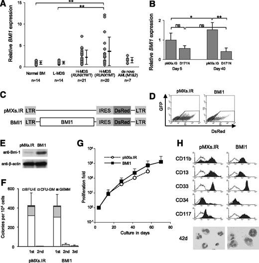 Figure 4. BMI1 expression pattern in human CD34+ cells and enforced BMI1 expression in human CD34+ cells. (A) BMI1 expression levels in CD34+ cells of clinical samples. Relative BMI1 expression was measured by triplicated qRT-PCR and calculated as the ratio of BMI1 to GAPDH expression. Data are also expressed as mean ± SD of each patient group. **P < .01. (B) BMI1 expression in transduced CD34+ cells was confirmed by qRT-PCR. CD34+ cells were repurified from GFP+ sorted cells after 5 and 40 days of culture in complete cytokine medium. Bar chart represents the mean ± SD of 3 independent experiments. RNA from pMXs.IG-transduced cells on day 5 served as a control, and the RNA level was defined as 1. *P < .05; **P < .01. (C) pMXs.IRES-DsRed-Express (pMXs.IR) retroviral construct for the expression of BMI1. (D) Representative flow cytometry profile of cells retrovirally transduced with pMXs.IR or BMI1 shows the transduction efficiency. The DsRed+ cells shown within the gate were collected. (E) Expression of BMI1 was confirmed by Western blotting using anti-Bmi1 antibody. Anti–β-actin antibody was used as the control. (F) Human CD34+ cells transduced with the indicated vector and sorted for DsRed expression were analyzed by CFC replating assay. Ten thousand cells were plated in methylcellulose culture dishes. Data are expressed as mean ± SD of 3 independent experiments. (G) Growth pattern of the transduced cells cultured in complete cytokine medium displayed as proliferation fold originating from 100 just after sorting. The error bars represent the SD from 4 independent experiments. (H) The expression pattern of surface markers as shown by a typical flow cytometry profile, and Wright-Giemsa–stained cytospins of the DsRed+ cells on day 42 culture in complete cytokine medium as captured with a BX51 microscope and a DP12 camera (Olympus); original magnification ×1000.