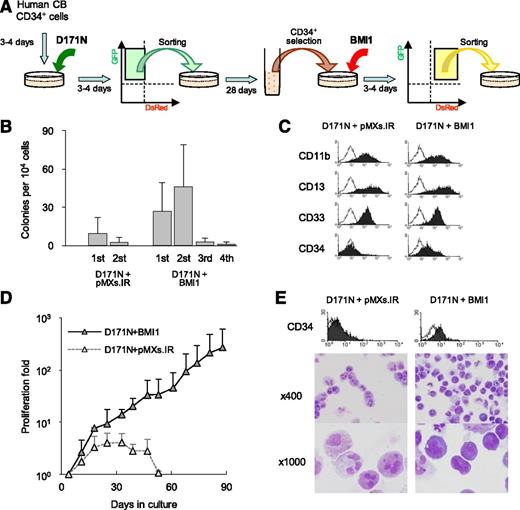 Figure 7. Stepwise transduction of the D171N mutant followed by BMI1 in human CD34+ cells. (A) Human CD34+ cells were precultured for 3 to 4 days in expansion medium and transduced with GFP-tagged D171N-mutant. After 3 or 4 days, GFP+ cells were sorted and cultured in long-term culture medium for 28 days. Then, CD34+ cells were reselected by the CD34 MicroBead Kit again and transduced with DsRed-tagged BMI1. We also transduced the DsRed vector as a control. Finally, 35 days after the D171N transduction, GFP+/DsRed+ cells were sorted and cultured in methylcellulose or long-term culture medium. (B) CFC replating assay in 3 independent experiments. (C) Representative flow cytometry analyses of the first colonies. (D) Proliferation fold in 3 independent experiments. Day 0 was the day of the second (DsRed vectors) transduction. (E) Flow cytometric analysis for CD34 expression, and Wright-Giemsa–stained cytospins on day 39 as captured with a BX51 microscope and a DP12 camera (Olympus) at ×400 and ×1000 original magnifications.