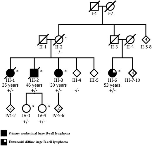 Figure 1. The pedigree of the Finnish family with 3 siblings affected by PMBCL and their cousin with extranodal DLBCL. The age of lymphoma onset is shown for all affected individuals. The MLL 5533C>A mutation status is shown for all studied family members: plus indicates mutation, and minus indicates the wild-type allele. Genome-wide genotype data were available from individuals marked with an asterisk. The pedigree has been modified for confidentiality.