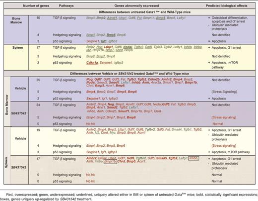 David Bioinformatics Database-generated ranking and predicted biological effects of genes expressed with a 2-fold difference between BM and spleen from untreated or vehicle- or SB431542-treated Gata1low mice and the corresponding tissues from wild-type littermates