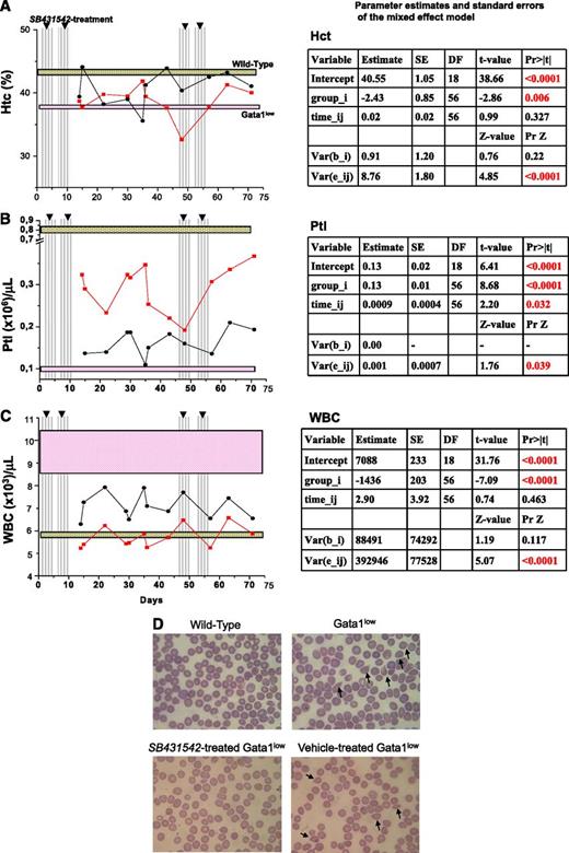 Figure 7. Inhibition of TGF-β1 signaling increases Ptl numbers and reduces WBC counts and frequency of poikilocytes but does not affect Hct levels in blood of Gata1low mice. Hct (A), Ptl numbers (B), and WBC counts (C) of Gata1low mice during treatment with SB431542 (red, 12 mice) or vehicle (black, 8 mice), as indicated. The vertical lines indicate the time of the treatment (see also supplemental Figure 1). The results are compared with those of untreated age- and sex-matched wild-type (gray box) and Gata1low (pink box) controls (10 mice each). Results are presented as mean (±SD) of independent measurements and analyzed with the mixed effects regression models using Restricted Maximum Likelihood Method, as summarized in the corresponding tables, on the right. (D) May-Grunwald staining of blood smears from representative untreated wild-type and Gata1low mice and Gata1low mice from vehicle- or SB431542-treated Gata1low mice. Representative poikilocytes are indicated by arrows. Original magnification ×40.