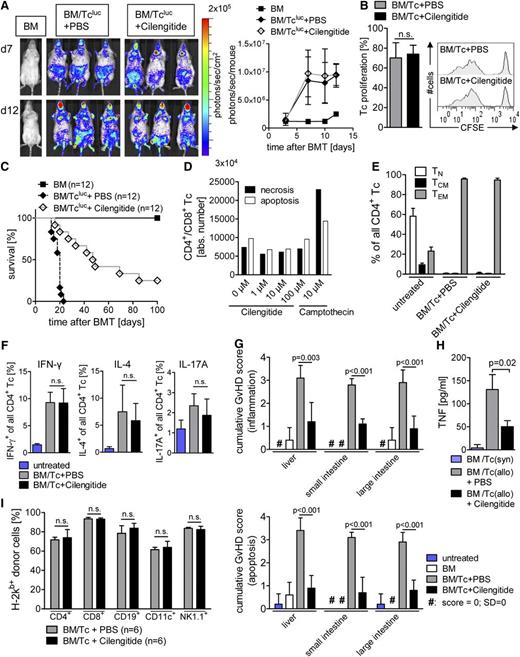 Figure 3. Cilengitide treatment improves survival after allo-HCT without affecting Tc proliferation. (A-C), (E-I) Allo-HCT was performed as described in the “Methods” section. (A) Distribution of donor-derived Tcluc’s is displayed in representative BLI images on days 7 and 21 after allo-HCT with coadministration of cilengitide or PBS as control (left panel) and quantified over time measuring the emitted photons from expanding Tcluc’s (n = 3 per group; right panel). Cilengitide administration had no significant impact on the expansion of Tcluc’s in comparison with the PBS treatment. The experiment was performed 3 times with at least 3 animals per group and similar results. (B) Splenocytes were isolated 24 hours after allo-HCT from BALB/c recipients and analyzed for the percentage of proliferated CFSE+/H-2Kb+/CD3+ donor Tc’s. Mean value for the amount of expanded Tc’s ± SD (left panel) and a representative histogram depicting CFSE dilution for each group is shown (right panel). The experiment was performed twice with at least 3 animals per group. (C) Survival of animals receiving BM alone (), BM/Tcluc+PBS (), or BM/Tcluc+cilengitide () (n = 12 in each group). Survival is improved in the cilengitide group as compared with the PBS-treated group (P < .0001). (D) CD4+/CD8+ Tc’s were exposed to cilengitide or camptothecin (10 µM) for 6 hours at the indicated concentrations, and viability was measured by flow cytometry for PI/annexin V. Annexin V and PI were used to differentiate between viable, necrotic, and apoptotic cells as follows: PI+/annexin V– (necrotic cells), PI+/annexin V+ and PI–/annexin V+ (apoptotic cells), and PI–/annexin V– (viable cells). In all, 100 000 Tc’s were analyzed for each sample, shown as absolute numbers ± SD. (E) Splenocytes from BALB/c recipients were isolated on day 14 after allo-HCT and stained for CD4, CD44, and CD62L. The quantification of TN, TEM, and TCM among CD4+ Tc’s is shown as a percentage ± SD from 1 representative of 2 independent experiments with at least 4 animals per group and comparable results. (F) Splenocytes from BALB/c recipients were isolated on day 14 after allo-HCT and stained for CD4, IL-4, IFN-γ, and IL-17A. The quantification of IL-4, IFN-γ, and IL-17A among the CD4+ Tc’s population is shown as a percentage ± SD. The experiment was performed twice each time with 5 animals per group and comparable results. (G) Histopathology of the intestines and liver was quantified as indicated in the “Methods” section. The mean score ± SD for inflammation (upper panel) and apoptosis (lower panel) is shown for the liver and small and large intestines separately (n = 5 in each group) from 1 of 2 independent experiments, each performed with at least 3 animals per group. (H) Animals were euthanized on day 7 after allo-HCT, and serum was isolated from the indicated groups to measure TNF. The mean value ± SD is shown representing 3 individual animals per group. The experiment was performed once with 3 animals per group. (I) Mice were euthanized on day 30 after allo-HCT, and donor engraftment was analyzed by flow cytometry for the indicated immune cell types. The mean value ± SD is shown for 1 representative of 2 independent experiments (n = 6 per group).