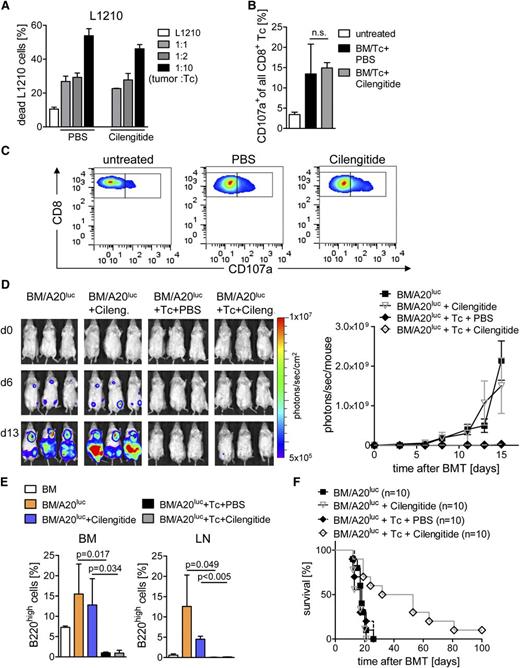 Figure 4. Cilengitide administration allows for CD8-mediated cytotoxicity. Allo-HCT was performed as described. (A) CD4+/CD8+ Tc’s were isolated from BALB/c recipients on day 14 after allo-HCT and cilengitide or PBS treatment and used as effector cells against L1210 cells in the indicated ratios of target:effector. Values are the percentage of annexin V+/PI+ cells ± SD from 1 representative experiment. Experiments were repeated 3 times in triplicates with similar results. (B-C) Splenocytes were isolated on day 14 after allo-HCT from BALB/c recipients and stained for CD8 and CD107a. (B) Quantification of CD107a+ population as percentage ± SD of all CD8+ Tc’s. One representative of 2 independent experiments is shown, each performed with at least 4 animals per group. (C) Representative flow cytometry data for the indicated groups described in (B) are shown. (D) Expansion and rejection of A20luc cells in BALB/c recipients receiving BM alone, with Tc’s and PBS or cilengitide. Days 0, 6, and 13 as representative time points are shown (left panel). Photons emitted from the A20luc cells in vivo are shown over time for the indicated groups (n = 3 per group). The experiment was performed 3 times with at least 3 animals per group and showed similar results (right panel). (E) Mice from the indicated groups were euthanized on day 13 after allo-HCT. LN (axillary, mesenteric, inguinal) and BM from the femur was isolated and analyzed for the presence of B220high A20luc cells by flow cytometry. The percentage (mean ± SD) of B220high A20luc cells in the BM (left) and LN (right panel) is shown. The experiment was performed once with at least 3 mice in each group. (F) Survival of BALB/c recipients after allo-HCT receiving additional A20luc and PBS or cilengitide. Survival is improved in the BM/A20luc+Tc+cilengitide-treated group () as compared with BM/A20luc+Tc+PBS (; P = .005), BM/A20luc+cilengitide (; P = .025), and BM/A20luc alone (; P = .003). The experiment was performed twice, and the number of mice per group is indicated in the survival graph.