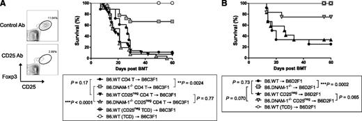 Figure 4. The absence of DNAM-1 on donor cells attenuates GVHD in a Treg-dependent fashion after lethal and sublethal conditioning. (A,B) All donor mice were treated with 500 μg CD25 antibody (Ab; PC61) for Treg depletion or rat IgG1 (isotype control; MAC49, Treg replete) intraperitoneally on days −3 and −1. (A) Lethally irradiated B6C3F1 mice were transplanted with 5 × 106 BM from CD25 Ab– or IgG–treated B6.WT mice and 2 × 106 MACS-purified CD4+ T cells from CD25 Ab– or IgG–treated B6.WT or B6.DNAM-1−/− mice on day 0. TCD BM from B6.WT donors was transplanted into irradiated B6C3F1 recipients as non-GVHD controls. Representative fluorescence activated cell sorting (FACS) dots of Treg depletion with CD25 Ab or isotype control (left) and survival data (right) are shown. P = .77, CD25 Ab–treated B6.WT vs B6.DNAM-1−/−. **P = .0024, IgG-treated B6.WT vs B6.DNAM-1−/−. Data combined from 4 experiments (n = 26 to 28 per T-cell–deplete group, n = 18 per T-cell–replete group, and n = 6 to 8 in TCD control). (B) Sublethally irradiated (500 cGy) B6D2F1 mice were transplanted with 50 × 106 splenocytes from CD25 Ab– or IgG–treated B6.WT or B6.DNAM-1−/− mice on day 0. T-cell depleted (TCD) grafts from IgG-treated B6.WT donors were transplanted as non-GVHD controls. P = .0002, IgG-treated B6.WT vs B6.DNAM-1−/−; P = .065, CD25 Ab–treated B6.WT vs B6.DNAM-1−/−. Data combined from 2 replicate experiments (n = 12 per T-cell–replete group and n = 8 in TCD control).