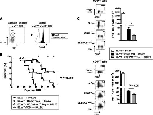 Figure 5. The absence of DNAM-1 on donor Treg promotes regulatory function in vivo. (A) Representative FACS plots of the sort strategy on CD25+CD8− T cells from naive B6.WT or B6.DNAM-1−/− mice and Foxp3 expression on sorted cells. (B) 5 × 106 BM from B6.WT mice with or without 0.2 × 106 FACS sort-purified CD25+CD4+ T cells from B6.WT or B6.DNAM-1−/− mice were transplanted into lethally irradiated BALB/c mice. Two days later, those recipients were given 0.5 × 106 CD3+ T cells from CD25 Ab–treated B6.WT mice. TCD bone marrow from B6.WT donors was transplanted into irradiated BALB/c recipients as non-GVHD controls. Survival data are shown. P < .0001, B6.DNAM-1−/− Treg vs no Treg; P = .0001, B6.WT Treg vs no Treg; P = .0011, B6.WT Treg vs B6.DNAM-1−/− Treg. Data shown are combined from 3 replicate experiments (n = 16 T-cell–replete group without Treg, n = 22 per T-cell–replete group with Treg, and n = 9 in TCD control). (C) 5 × 106 BM from B6.WT mice with or without 0.4 × 106 FACS sort-purified CD25+CD4+ T cells from B6.WT or B6.DNAM-1−/− mice were transplanted into lethally irradiated B6D2F1 mice. Seven days later, those recipients were given 2 × 106 CD3+ carboxyfluorescein succinimidyl ester (CFSE)–labeled T cells from CD25 Ab–treated B6 (CD45.1+) mice. Four days later, spleens from recipients were analyzed. CD45.1+IFN-γ+CD4+ T cells (CD45.1+CD3+CD4+) (top right) and CD45.1+IFN-γ+CD8+ T cells (CD45.1+CD3+CD8+) (bottom right). Representative FACS plots for CFSE dilution and IFN-γ secretion in CD4+ and CD8+ T cells from each group are shown. IFN-γ+CD4+ T cells: P = .016, B6.DNAM-1−/− Treg vs no Treg; P = .029, B6.WT Treg vs no Treg; P = .016, B6.WT Treg vs B6.DNAM-1−/− Treg. IFN-γ+CD8+ T cells; P = .016, B6.DNAM-1−/− Treg vs no Treg; P = .029, B6.WT Treg vs no Treg; P = .064, B6.WT Treg vs B6.DNAM-1−/− Treg. n = 4 to 5 per group. Representative data from 1 of 2 experiments is shown.