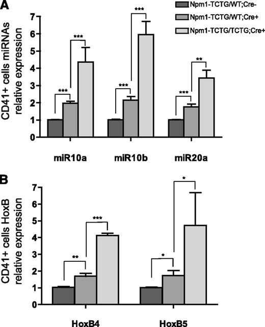Figure 6. miR-10a, miR10b, and miR20a overexpression correlates with HOXB gene expression. (A) miRNA qRT-PCR for miR-10a, miR-10b, and miR-20a in CD41+ cells from Npm1-TCTG/WT;Cre+ and Npm1-TCTG/TCTG;Cre+ mice vs Cre− controls. (B) Relative gene expression of HoxB4 and HoxB5 in the BM of Npm1-TCTG/WT;Cre+ and Npm1-TCTG/TCTG;Cre+ mice vs Cre− controls. qRT-PCR was performed on pooled CD41+ magnetic-activated cell sorting–sorted cells from ≥3 mice per genotype. Histograms represent mean miRNA expression from triplicate samples obtained from 3 independent experiments. *P < .05, **P < .01, ***P < .001 (unequal-variance t test).