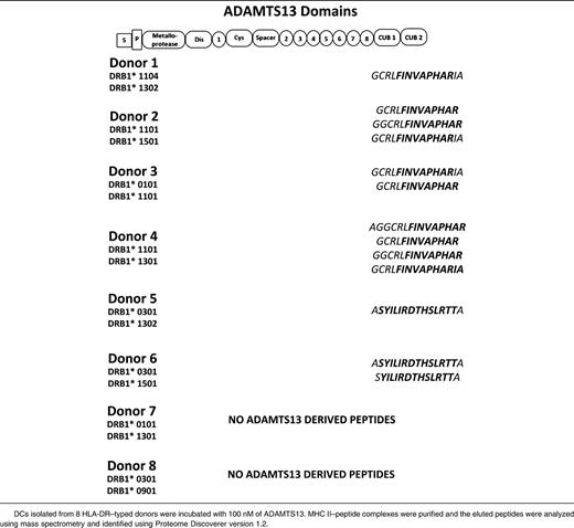 ADAMTS13-derived MHC II ligands