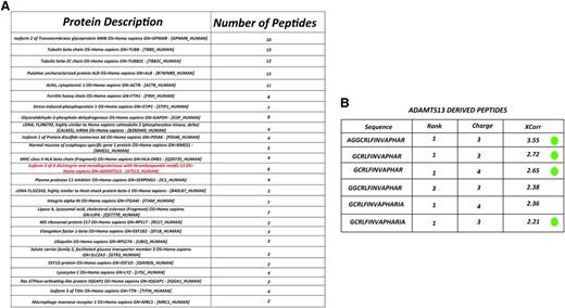 Figure 1. Identification of MHC II-bound peptides. (A) Representation of several endogenous proteins processed and presented on MHC II molecules isolated from ADAMTS13-treated mDCs of donor 4 (DRB1*1101/DRB1*1301). (B) List of ADAMTS13-derived peptides presented on MHC II of donor 4. The first column shows the amino acid sequence of the peptides derived from ADAMTS13. Following are the rank, charge, and Xcorr value as provided by Sequest. Peptides meeting the required rank and cross-correlation criteria as documented in “Material and methods” are indicated by a green dot.