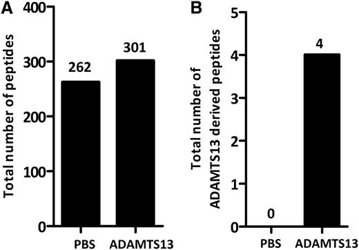 Figure 2. Peptide counts of MHC II–bound peptides in ADAMTS13-treated and PBS-treated DCs. Cells were treated with either 100 nM ADAMTS13 or PBS. All samples were immunoprecipitated using anti–MHC II antibody L243. Eluted peptides were analyzed by mass spectrometry and identified using Proteome Discoverer version 1.2. (A-B) Total amount of peptides (A) or ADAMTS13-derived peptides (B) was calculated in both samples. Peptides that did not fulfill our requirements based on rank and charge cross-correlation were excluded.