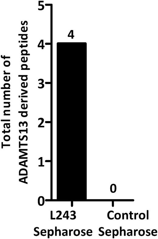 Figure 4. Analysis of MHC II ligands identified in ADAMTS13-treated mDCs. ADAMTS13-treated cells isolated from donor 15 were immunoprecipitated using either an anti–MHC II antibody or an isotype control antibody. Eluted peptides were analyzed by mass spectrometry and identified by Proteome Discoverer version 1.2. The total number of ADAMTS13-derived peptides was determined by counting the specific peptides that met our exclusion criteria.