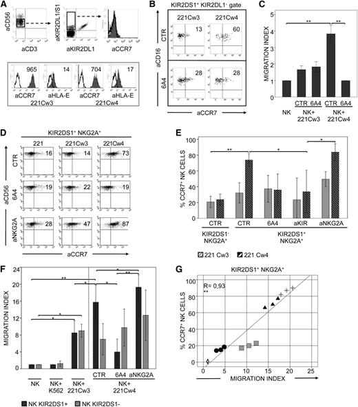 Figure 1. KIR2DS1 induces uptake of CCR7 and acquisition of migratory properties in NK cells interacting with C2+ cell transfectants. (A) Freshly isolated CD56dull NK cells (from a representative C1/C1 KIR2DS1+ donor) contained a subset of KIR2DS1+/KIR2DL1− cells that did not express CCR7 (upper panels). The level of expression (median values) of CCR7 and HLA-E molecules on 221 cells transfected with either HLA-Cw3 (C1 epitope) or HLA-Cw4 (C2 epitope) is also shown (lower panels). (B) The same NK cells as in (A) were incubated for 15 minutes at 37°C with either 221-Cw3 or 221-Cw4 transfectants, in the absence or presence of specific anti–HLA-I mAbs (6A4). Then cells were harvested and stained with anti-CD16 (to distinguish NK cells from the 221 cells), different anti-KIRs (to select and gate on the KIR2DS1+/KIR2DL1− cell subset), and anti-CCR7 mAbs for cytofluorimetric analysis. Percentages of CCR7+ cells are indicated. (C) Freshly isolated NK cells from 4 C1/C1 KIR2DS1+ donors were incubated alone (NK) or with 221-Cw3 or 221-Cw4 cells, in the absence or presence of anti–HLA-I mAbs (6A4). After 15 minutes at 37°C, NK cells were analyzed for their migratory properties in response to CCL19/CCL21 chemokines. The average of 4 independent experiments is shown. The histogram refers to the migration index of NK cells after incubation. (D) A representative KIR2DS1+ NKG2A+ NK-cell clone (from a C1/C1 donor) was incubated at 37°C with untransfected 221 cells or 221-Cw3 or 221-Cw4 transfectants in the absence or presence of anti–HLA-I (6A4) or anti-NKG2A mAbs. After 15 minutes, NK cells were harvested and stained with anti-CD56 and anti-CCR7 mAbs for cytofluorimetric analysis. The percentages of CCR7+ cells are indicated. (E) The average of 6 independent experiments of KIR2DS1+ or KIR2DS1− NK-cell clones incubated with 221-Cw3 or 221-Cw4 is shown. NK clones (6 for each type) were derived from 3 different C1/C1 donors. All NK-cell clones expressed NKG2A as the only inhibitory receptor. Co-incubation was performed in the absence or presence of anti–HLA-I (6A4), anti-KIR, or anti-NKG2A mAbs, as indicated. The histogram represents the percentage of CCR7+ NK cells after incubation with 221 cell transfectants. (F) The same KIR2DS1+ or KIR2DS1− NK-cell clones, which had been incubated alone (NK) or with 221 cell transfectants in the absence or presence of anti–HLA-I (6A4) or anti-NKG2A mAbs, were analyzed for their migratory properties in response to CCL19/CCL21 chemokines. NK cells incubated with K562 were used as a control. The average of 6 independent experiments is shown. The histogram refers to the migration index of NK cells after coculture. (G) The relationship between the migration index and the CCR7 expression on 3 representative KIR2DS1+ NKG2A+ NK-cell clones (from 3 C1/C1 donors) was analyzed according to a linear regression model (R = 0.93) and confirmed by analyzing the Pearson correlation coefficient (=0.93). Shown are NK alone (empty rhombus); NK plus 221-Cw3 (black circle), NK plus 221-Cw4 (black triangle), NK plus 221-Cw4 in the presence of anti-NKG2A mAbs (gray cross), and NK plus 221-Cw4 in the presence of anti–HLA-I mAbs (6A4) (gray square). *P < .05; **P < .01.