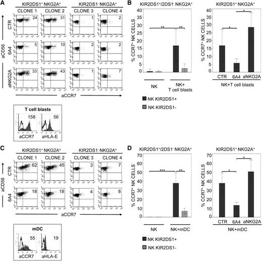 Figure 2. KIR2DS1-induced uptake of CCR7 in NK cells interacting with C2+ T-cell blasts or mDCs. (A) Two representative KIR2DS1+ NKG2A+ NK-cell clones (derived from 2 different C1/C1 donors) and 2 KIR2DS1− NKG2A+ (from the same donors) were incubated at 37°C with CCR7+ allogeneic T-cell blasts derived from a C2/C2 donor. Co-incubation was performed in the absence or presence of specific anti–HLA-I (6A4) or anti-NKG2A mAbs. After 15 minutes, NK cells were harvested and stained with anti-CD56 and anti-CCR7 mAbs for cytofluorimetric analysis. The percentages of CCR7+ cells are indicated. Histogram plots (lower panel) illustrate the expression of CCR7 and HLA-E on T-cell blasts (median values are indicated). (B) The average of 6 independent experiments of KIR2DS1+ NKG2A+ or KIR2DS1− NKG2A+ NK-cell clones incubated alone (NK) or with T-cell blasts is shown (left panel). NK clones (6 for each type) were derived from 3 different C1/C1 donors. The average of 6 independent experiments of KIR2DS1+ NKG2A+ NK-cell clones incubated with T-cell blasts, performed either in the absence or presence of specific anti–HLA-I (6A4) and anti-NKG2A mAbs, is shown (right panel). The histograms refer to the percentage of CCR7+ NK cells detectable after incubation with T-cell blasts under the indicated conditions. (C) Two representative KIR2DS1+ NKG2A+ NK-cell clones (derived from 2 different C1/C1 donors) and 2 KIR2DS1− NKG2A+ clones (from the same donors) were incubated at 37°C in the absence or presence of anti–HLA-I (6A4) mAbs with allogeneic mDCs derived from a C2/C2 donor. After 15 minutes, NK cells were harvested and stained with anti-CD56 and anti-CCR7 mAbs for cytofluorimetric analysis. Percentages of CCR7+ cells are indicated. The histogram plots (lower panel) illustrate the expression of CCR7 and HLA-E on mDCs (median values are indicated). (D) The average of 6 independent experiments of KIR2DS1+ NKG2A+ or KIR2DS1− NKG2A+ NK-cell clones incubated alone (NK) or with mDCs is shown (left panel). NK clones (6 for each type) were derived from 3 different C1/C1 donors. The average of 6 independent experiments of KIR2DS1+ NKG2A+ NK-cell clones incubated with mDCs in the absence or presence of specific anti–HLA-I (6A4) or anti-NKG2A mAbs is shown (right panel). The histograms indicate the percentage of CCR7+ NK cells under the indicated conditions. *P < .05; **P < .01; ***P < .001.