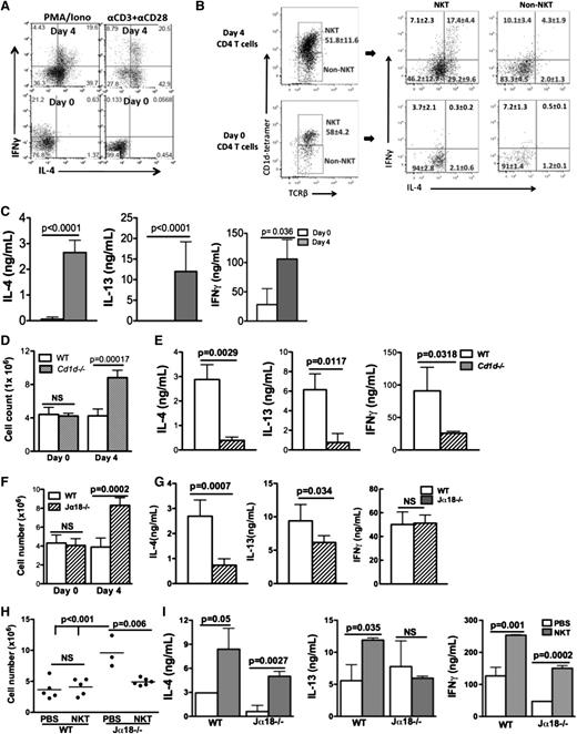 Figure 3. iNKT cells in inflamed peritoneum produced cytokines during the resolution of inflammation. (A) Day 0 or day 4 WT CD4 T cells were ex vivo–stimulated by PMA/ionomycin (Iono) or anti-CD3 and anti-CD28, and stained for intracellular IL-4 and IFN-γ. (B) Following stimulation with anti-CD3 and anti-CD28 for 24 hours, day 0 or day 4 CD4 T cells were gated into NKT (CD1d tetramer+ TCRβ +) and non-NKT (CD1d tetramer-TCRβ +) populations. Each population was assessed for intracellular IL-4 and IFN-γ. (C) IL-4, IL-13, and IFN-γ in supernatants after anti-CD3 and anti-CD28 stimulation were measured by ELISA. (D-G) Peritonitis was induced by sodium periodate injection in WT and Cd1d−/− or Jα18−/− mice. Inflammation was assessed by peritoneal cell counts (D, F). IL-4, IL-13, and IFN-γ in supernatants of Cd1d−/− (E) or Jα18−/− mice (G) day 4 CD4 T cells after anti-CD3 and anti-CD28 stimulation were measured by ELISA. (H) WT splenic NKT cells or PBS were adoptively transferred into WT or Jα18−/− mice at 66 hours after sodium periodate injection. Peritoneal inflammation was scored by cell counts 30 hours later. (I) CD4 T cells from recipient mice in (H) were stimulated ex vivo for 48 hours, and IL-4 and IFN-γ were measured by ELISA. Data represent at least 2 independent experiments.