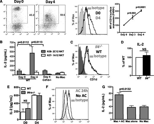 Figure 4. Efferocytosing macrophages increased CD1d expression and activate iNKT cells. (A) Day 0, day 3, and day 4 peritoneal macrophages (F4/80+) were assessed for surface expression of CD1d, and mean fluorescence intensity was compared. Data represent at least 3 independent experiments. (B) Activation of N38-2C12 or N37-1A12 NKT cells by day 0 or day 4 peritoneal macrophages was determined by measuring IL-2 production by the NKT cells 24 hours after co-culture. Data represent at least 3 independent experiments. (C-D) Day 4 WT and Il4−/− peritoneal macrophages were assessed for surface expression of CD1d (C) and their ability to activate N38-2C12 NKT cells to produce IL-2 (D). Data represent 2 independent experiments. (E) Day 0 and day 4 WT and Il4ra−/− macrophages were co-cultured with N38-2C12 NKT cells and IL-2 from culture media were measured as in (B). Data represent 2 independent experiments. (F) Day 3 peritoneal exudate macrophages were co-cultured with apoptotic mouse neutrophils for 24 hours, and surface expression of CD1d on these macrophages was compared with that on macrophages without AC. (G) Macrophages from (F) were used to co-culture with N38-NKT cells and IL-2 in supernatants was measured by ELISA. Data represent 3 independent experiments.