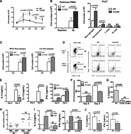 Figure 7. Impaired activation of peritoneal NKT cells partially contributed to the enhanced peritoneal inflammation and delayed resolution in mice with X-CGD. (A) Total peritoneal cell counts in X-CGD and WT mice were determined at day 0, 8 hours, and days 3, 4, and 6 after intraperitoneal (IP) injection. (B, left) The number of neutrophils (GR1high) in the peritoneal cavities of WT or X-CGD mice at baseline and 8 hours after IP injection of sodium periodate was determined by flow cytometry. (Right) Absolute cell numbers of macrophages (F4/80+), granulocytes (GR1high), T cells (CD3+), and B cells (B220+) in the peritoneal cavities of WT or X-CGD mice at baseline and 8 hours after IP injection of sodium periodate was determined by flow cytometry. (C) The numbers of MPO+ (E) or IL-4+ (F) PEMs were determined by ICS in X-CGD and WT mice at day 0 and day 3. At least 3 mice were used for each genotype at each time point. Data represent at least 3 experiments. (D) NKT (CD1d tetramer+ TCRβ +) or non-NKT (CD1d tetramer- TCRβ +) populations from day 4 WT or X-CGD peritoneum were identified as described in Figure 3. Each population was assessed for intracellular IL-4 and IFN-γ. (E) Day 0 or day 4 WT and X-CGD CD4 T cells were ex vivo–stimulated with anti-CD3 and anti-CD28 for 24 hours; IL-4, IL-13, and IFN-γ in supernatants were measured by ELISA. (F) Day 0 and day 4 WT or X-CGD PEM were assessed for surface expression of CD1d by flow cytometry, and mean fluorescence intensity is shown. (G) Activation of N38-2C12 NKT cells by day 4 WT or X-CGD PEMs was determined by measuring IL-2 production by the NKT cells 24 hours after co-culture with the macrophages. (H) Adoptive transfer of WT splenic NKT cells into either WT or X-CGD mice after induction of peritonitis was performed as described in Figure 3. Day 4 peritoneal cell counts were determined. (I) CD4 T cells from recipient mice were ex vivo–stimulated as described in Figure 3, and IL-4 and IFN-γ production were measured by ELISA. (J) WT or X-CGD splenic NKT cells were co-cultured with mCD1d-expressing LMTK cells ex vivo for 48 hours, and IL-4 and IFN-γ production were measured by ELISA. All data represent 2 to 3 independent experiments. PMN, polymorphonuclear leukocytes.