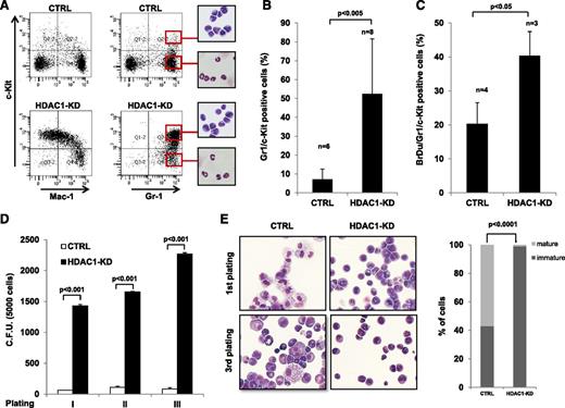 Figure 4. Hdac1 knock-down primes the expansion of Gr-1+/c-Kit+ cells in vivo. Lin− cells derived from mCGPR/PR transgenic mice were transduced with the indicated vectors, and sorted GFP+ cells were injected into lethally irradiated mice. Mice were euthanized 30 days after transplantation, and their phenotype was analyzed. (A) A representative dot plot showing the levels of the indicated differentiation markers in bone marrow cells. Insets show the cytologic analysis of the sorted subpopulations (red squares). (B) Plot of the levels of Gr-1+/c-Kit+ cells in the indicated murine bone marrow samples. (C) Mice transplanted with the indicated cells were injected with BrdU. In the graph, the levels of BrdU incorporation are shown. (D) The indicated Gr-1+/c-Kit+ cells were plated in methylcellulose medium and were scored for colony-forming ability. In the graph, the mean and standard deviation of 3 independent experiments are shown. (E) Morphologic analysis of the indicated Gr-1+/c-Kit+ cells, harvested after plating in methylcellulose medium. Left panels, representative cytospins; right panel, percentage of mature and immature cells, original magnification ×1000, May Grünwald-Giemsa staining, Olympus BX51. Statistical analysis was performed with the Fisher exact test.