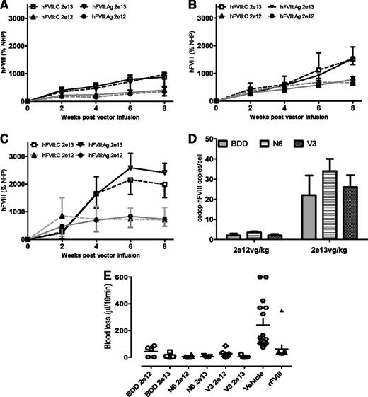 Figure 5. Expression of hFVIII expression in F8−/− mice. (A-D) Kinetics of hFVIII expression shown as activity (hFVIII:C; mean ± SD) and antigen (hFVIII:Ag; mean ± SD) levels in male F8−/− mice following a single tail vein administration of low (2 × 1012 vg/kg) and high dose (2 × 1013 vg/kg) of (A) rAAV-HLP-codop-BDD-hFVIII (BDD), (B) rAAV-HLP-codop-hFVIII-N6 (N6), or (C) rAAV-HLP-codop-hFVIII-V3 (V3). Standards consisted of normal human pool plasma (NHP) diluted in murine plasma. (D) Transgene copy number in the liver at 8 weeks following gene transfer of rAAV-HLP-codop-BDD-hFVIII, rAAV-HLP-codop-hFVIII-N6, and rAAV-HLP-codop-hFVIII-V3. (E) Blood loss in F8−/− mice following gene transfer with rAAV-HLP-codop-BDD-hFVIII, rAAV-HLP-codop-hFVIII-N6, and rAAV-HLP-codop-hFVIII-V3 (V3) compared with that in F8−/− mice treated with vehicle alone or recombinant FVIII.