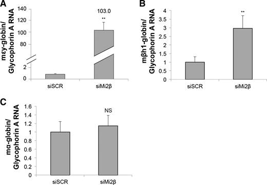 Figure 2. Mi2β regulates the expression of endogenous mouse β-type globin genes. CID cells that were transiently transfected as described in Figure 1 were then assayed for endogenous εy-, βh1-, and α-globin RNA levels by qPCR. (A) Transient knockdown of Mi2β in CID cells leads to increased expression of the murine εy (mεy) gene by 103-fold normalized to glycophorin A. (B) Mi2β knockdown leads to a threefold increase in murine βh1 (mßh1) gene expression. (C) Murine α-globin (mα) RNA level is unchanged on Mi2β knockdown. These data are expressed as εy-, βh1-, and α-globin RNA normalized to glycophorin A, a murine erythroid-specific housekeeping gene. Error bars represent the standard deviation of 3 independent experiments. *P < .05 and **P < .02 according to the Student t test. NS = not statistically significant.