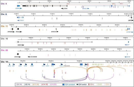 Figure 1. Summary of translocation breakpoints in multiple myeloma presentation samples. Genes with exon/intron boundaries and the location on the chromosome are marked and arrows indicate the direction of transcription. Breakpoints are indicated with vertical lines of color corresponding to the partner chromosome (eg, t(4;14) are shown as purple lines and t(6;14) as dark blue lines). Oncogenes overexpressed because of the translocation are shown in blue. On chromosome 14, the IGH constant regions are indicated by light blue boxes and the upstream switch regions as dark blue boxes. DH segments and the IGHJ segment region are also annotated, as are VH segments in which translocations were detected. Arcs on chromosome 14 indicate an unbalanced translocation in which 1 sample has 2 breakpoints, 1 from each derivative chromosome. On chromosomes 11 and 20, dashed vertical lines indicate breakpoints in which the partner breakpoint on chromosome 14 is located in the V or D segments. On chromosome 11, the open box indicates a 50-kb gap in the genomic sequence.