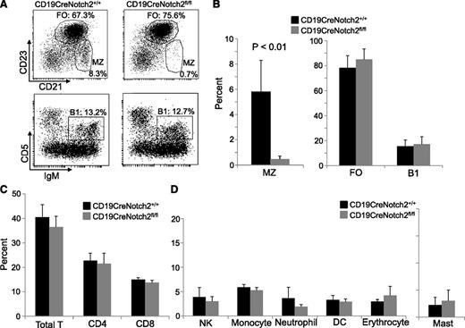 Figure 1. Marked reduction of MZ B cells, but not FO or B1 B cells, or other immune cells in B-cell–specific Notch2-deficient mice. (A) Marked reduction of MZ B cells but normal FO and B1 B populations in B-cell–specific Notch2-deficient mice. Upper panels: Splenocytes from CD19CreNotch2+/+ and CD19CreNotch2fl/fl mice were stained with antibodies to B220, CD21, and CD23. In B220+-gated cells, FO B cells (CD21+CD23hi) and MZ B cells (CD21hi CD23lo/−) are shown. The percentages indicate cells in the gated B220+ population. Lower panels: Peritoneal cells from CD19CreNotch2+/+ and CD19CreNotch2fl/fl mice were stained with antibodies to IgM and CD5. In the gated live population, B1 B cells (IgM+CD5+) are shown. The percentages indicate cells in the gated live population. (B) Bar graphs show the percentages of MZ and FO B cells in the gated splenic B220+ population, and B1 B cells in the gated live peritoneal population from the indicated mice. (C) Bar graphs show the percentages of total (Thy1.2+), CD4, and CD8 T cells in the gated splenic lymphoid population from the indicated mice. (D) Bar graphs show the percentages of NK (NK1.1+), monocytes (CD11b+F4/80+), neutrophils (CD11b+Ly6G+), dendritic cells (DC) (CD11b+CD11c+), and erythrocytes (Ter119+) in the gated live splenocytes and of mast cells (c-Kit+FcεR+) in the gated live peritoneal cells from the indicated mice. Data are obtained from 3 CD19CreNotch2+/+ and 4 CD19CreNotch2fl/fl mice.