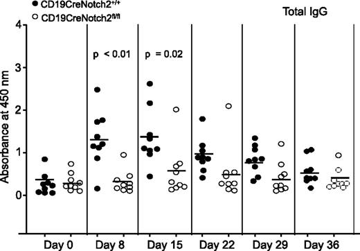 Figure 2. Markedly impaired production of PF4/heparin-specific antibody in B-cell–specific Notch2-deficient mice. A marked impairment of PF4/heparin-specific IgG production in B-cell–specific Notch2-deficient mice. CD19CreNotch2+/+ and CD19Cre Notch2fl/fl mice were immunized with mouse PF4/heparin complexes. Sera were collected at the indicated time points after immunization, and mouse PF4/heparin-specific total IgG level was measured by ELISA. The horizontal lines indicate the mean values. Data shown are obtained from 9 mice of each genotype.