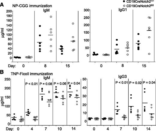 Figure 3. T-cell–dependent and T-cell–independent immune responses in B-cell–specific Notch2-deficient mice. (A) Normal T-cell–dependent immune responses in B-cell–specific Notch2-deficient mice. CD19Cre Notch2+/+ (n = 6) and CD19CreNotch2fl/fl (n = 6) mice were immunized with the T-cell-dependent antigen NP-CGG. Sera were collected at the indicated time points after immunization, and NP-specific IgM (left) and IgG1 (right) levels were measured by ELISA. The horizontal lines indicate the mean values. (B) Reduced T-cell–independent immune responses in B-cell–specific Notch2-deficient mice. CD19CreNotch2+/+ (n = 6) and CD19CreNotch2fl/fl (n = 8) mice were immunized with the T-cell–independent antigen TNP-Ficoll. Sera were collected at the indicated time points after immunization, and TNP-specific IgM (left) and IgG3 (right) levels were measured by ELISA. The horizontal lines indicate the mean values.