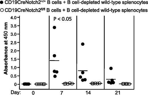 Figure 4. Defective B cells are responsible for the failure to produce PF4/heparin-specific antibodies in B-cell–specific Notch2-deficient mice. Splenic B cells were isolated from CD19CreNotch2+/+ or CD19CreNotch2fl/fl mice, mixed with B-cell–depleted wild-type splenocytes at a 1:1 ratio, and then adoptively transferred into partially irradiated μMT mice. The recipients were immunized with mouse PF4/heparin complexes. Sera were collected at the indicated time points after immunization. Total PF4/heparin-specific IgG level was measured by ELISA. The horizontal lines indicate the mean values. Data shown are obtained from 5 recipients in each group.