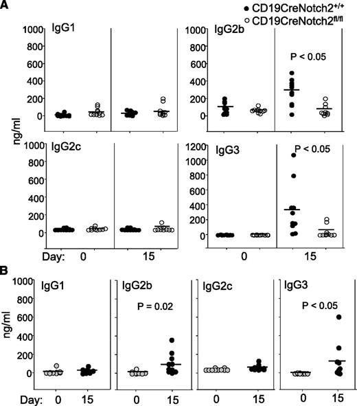 Figure 5. Production of anti-PF4/heparin IgG2b and IgG3 antibodies in wild-type mice with C57BL/6 background. (A) Production of PF4/heparin-specific IgG2b and IgG3 antibodies in Notch2-sufficient mice. CD19CreNotch2+/+ and CD19CreNotch2fl/fl mice on a C57 BL/6 background were immunized with mouse PF4/heparin. Sera were collected at the indicated time points after immunization. The different isotypes of PF4/heparin-specific antibodies were measured by ELISA. (B) Production of PF4/heparin-specific IgG2b and IgG3 antibodies in C57BL/6 mice. Wild-type C57BL/6 mice were immunized with mouse PF4/heparin. Sera were collected at the indicated time points after immunization. The different isotypes of PF4/heparin-specific antibodies in the sera were measured by ELISA. The horizontal lines indicate the mean values. Data shown are obtained from 10 mice of each genotype in both (A) and (B).