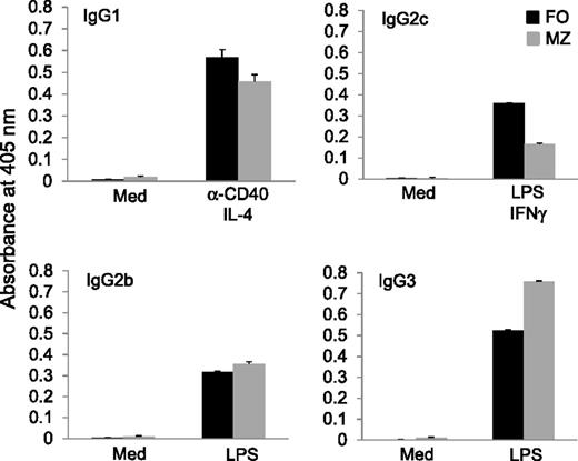 Figure 6. Production of IgG2b and IgG3 antibodies by MZ B cells in vitro. FO and MZ B cells were sorted by FACS from wild-type C57BL/6 mice. The cells were then cultured with anti-CD40 and IL-4 to induce IgG1 class switching, LPS and IFNγ to induce IgG2c class switching, or LPS to induce IgG2b and IgG3 class switching. The culture supernatants were collected after 4 days of culture, and different isotypes of antibodies were measured by ELISA. Results are representative of at least 3 independent experiments.